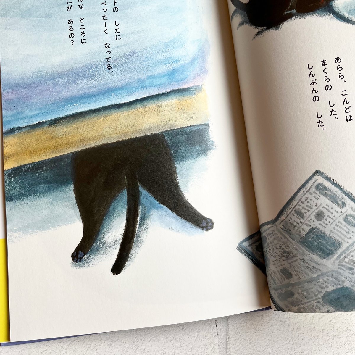 くろねこちゃこのぼうけん | necoya books web store