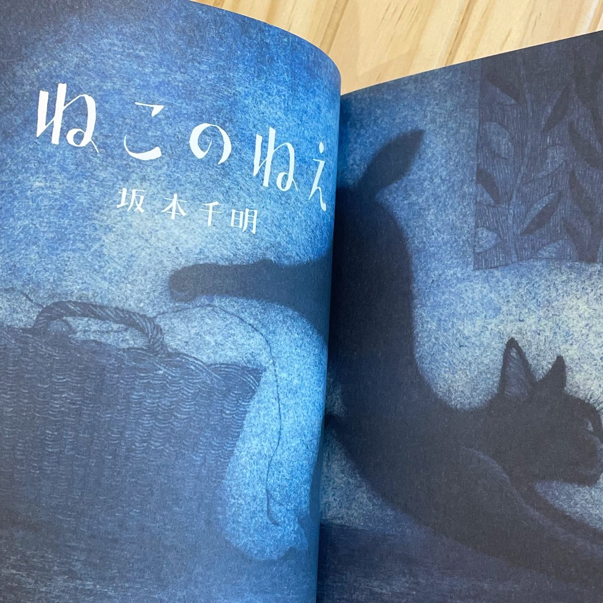 ☆坂本直行☆「エゾウサギギク」ペン画　小作品２０角額　未使用！ 坂本千明 ポストカード（猫） | URESICA