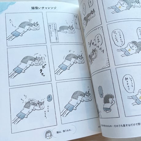 うちの猫は今日も塩対応