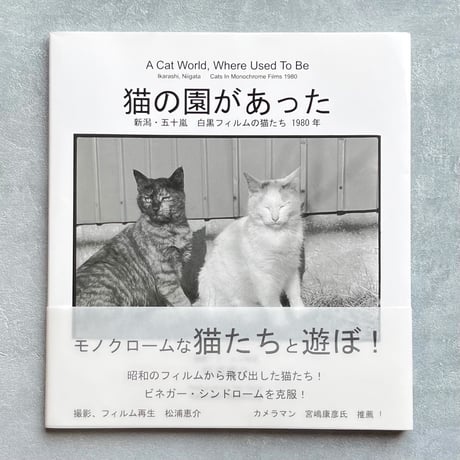 『猫の園があった』ポストカード