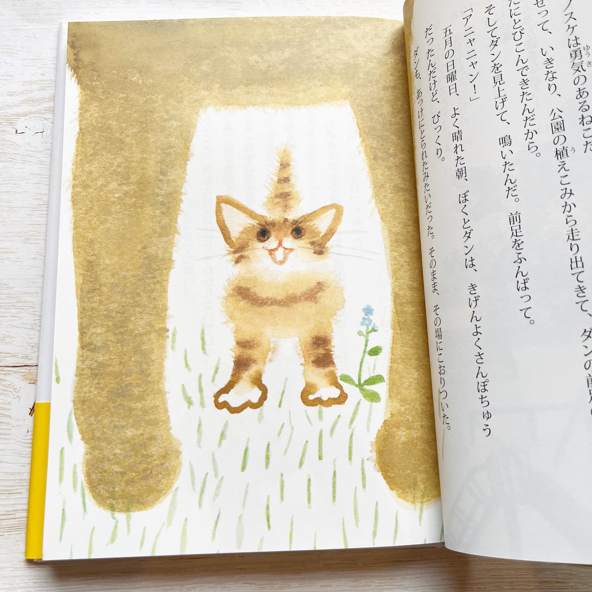 ねこもおでかけ ☆ダブルサイン入り | necoya books web store