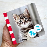 ＮＥＷてのひらしゃしんえほん　ねこ