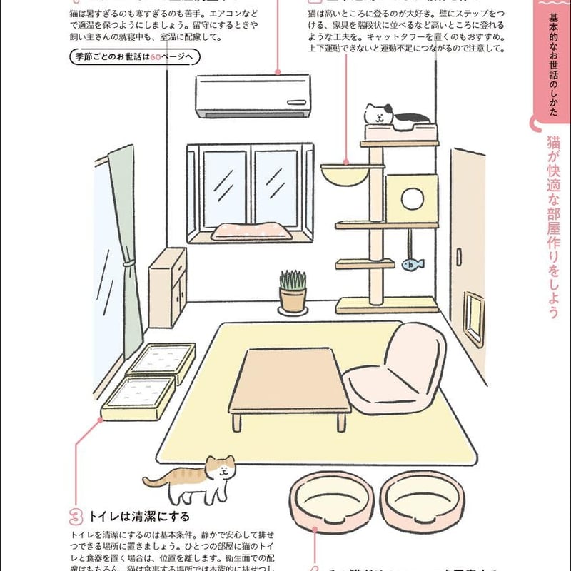 はじめての猫 決定版: この1冊で猫のお世話がまるわかり
