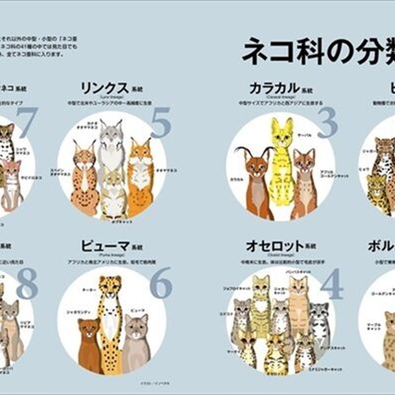 美しすぎるネコ科図鑑 | necoya books web store