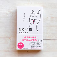 わるい猫