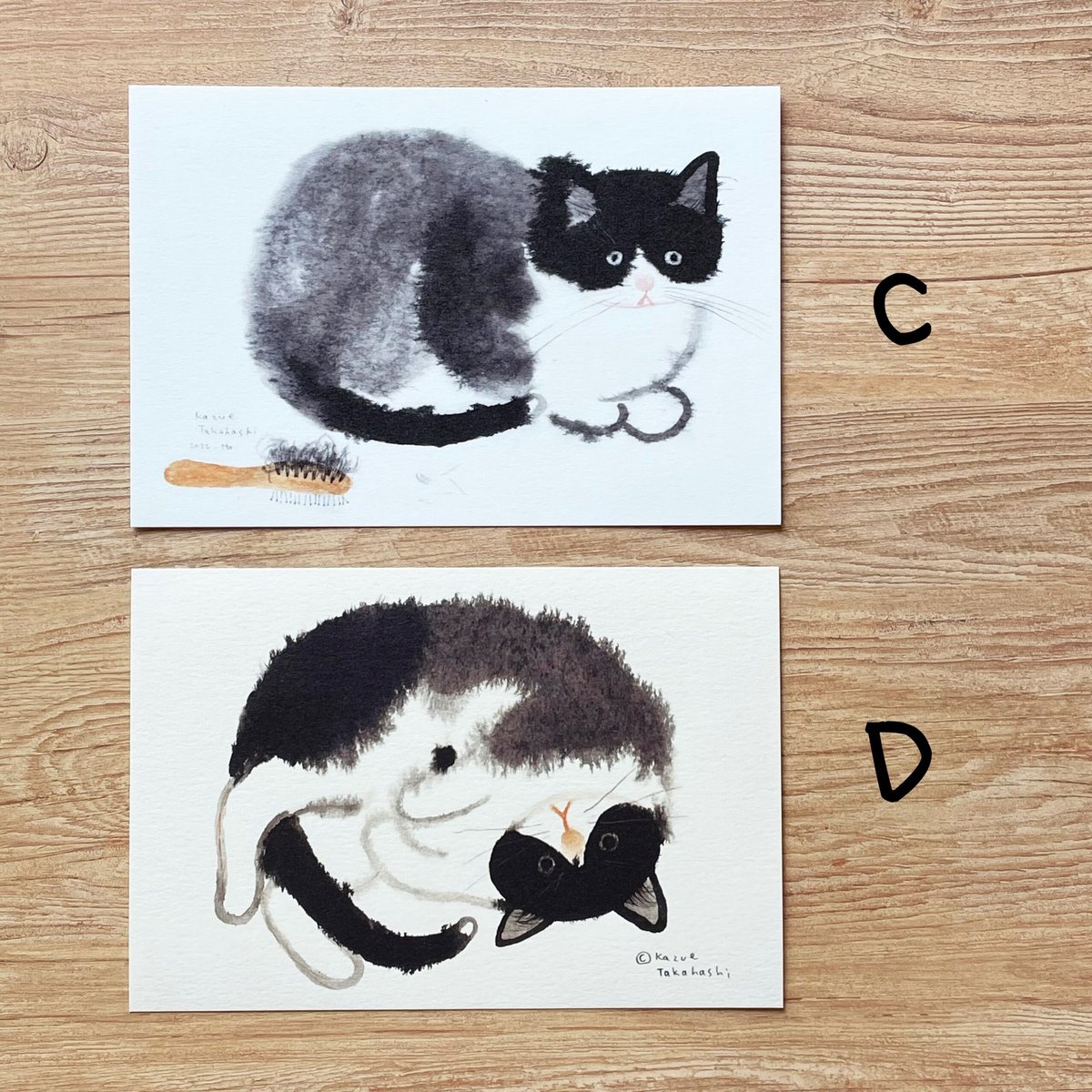 ねこ＊メドベージェワ メドちゃん 当選品 直筆サイン ポストカード ねこ＊メドベージェワ メドちゃん 当選品 直筆サイン ポスト
