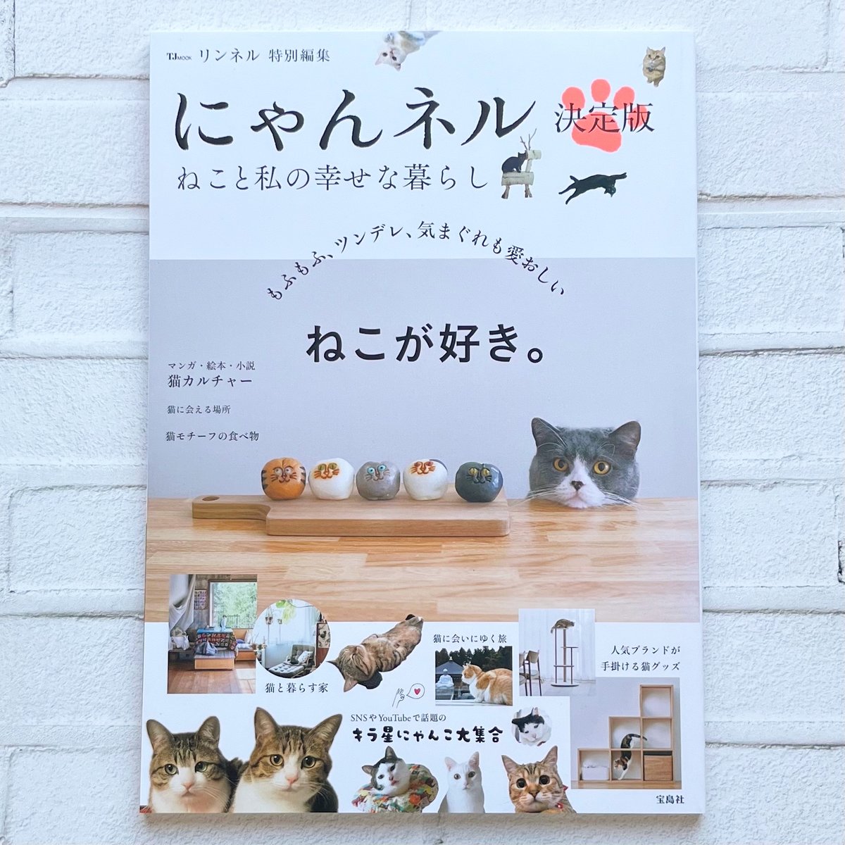 リンネル特別編集 にゃんネル 決定版 ねこと私の幸せな暮らし | necoya