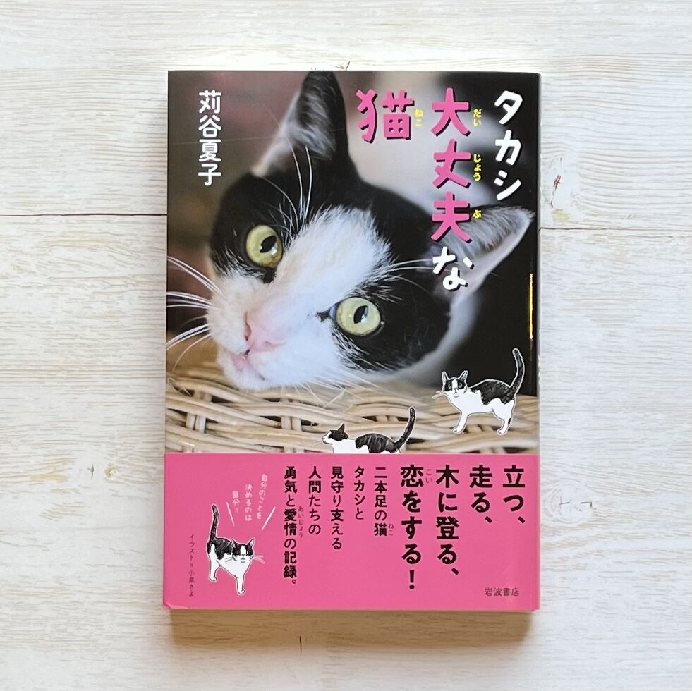 里帰り猫 タカハシキャット　ブックスエンド　本の声を聞く猫 1970年代 里帰り猫 タカハシキャット ブックスエンド 本の声を聞く猫 1970