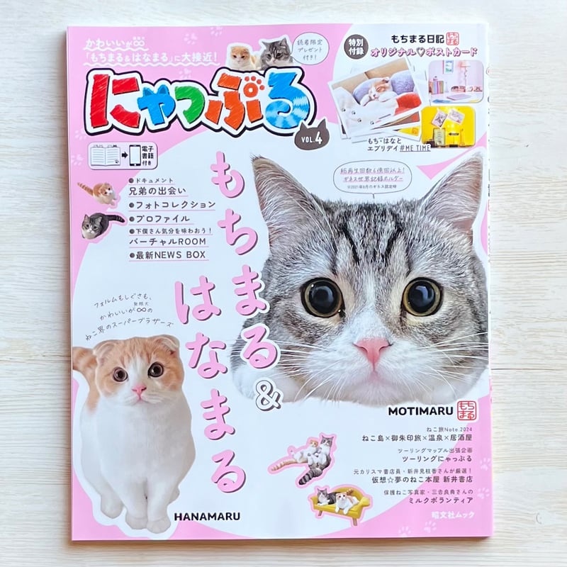 にゃっぷる vol.4 | necoya books web store