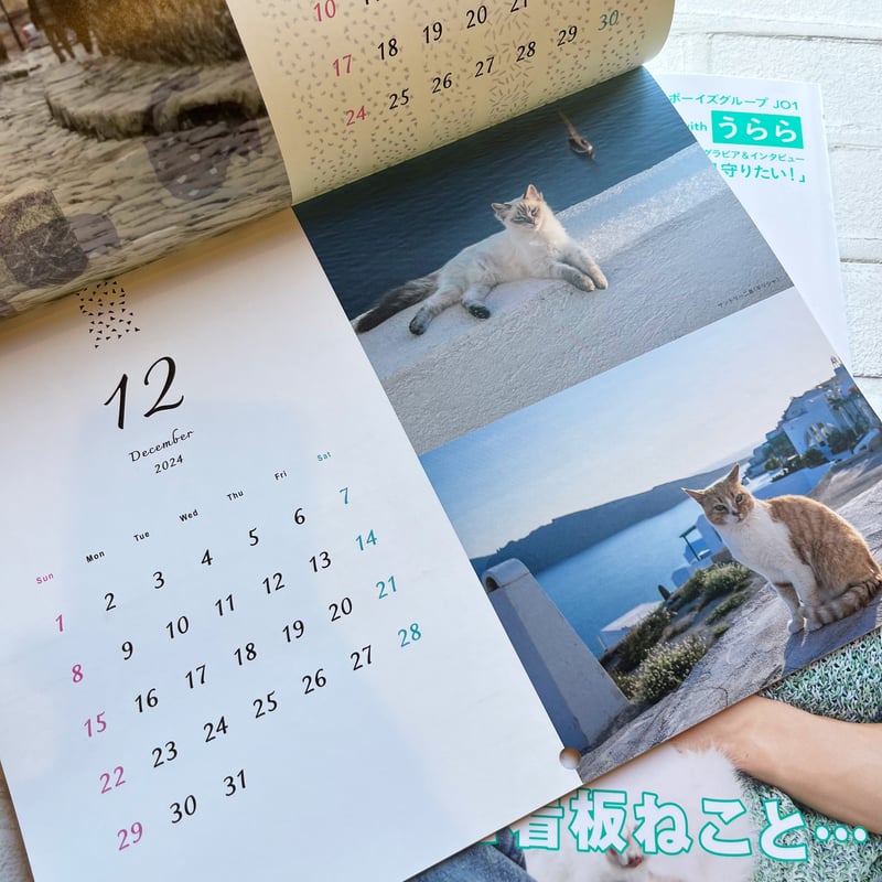ねこ no.129【特別付録】2025年版 海外のねこ カレンダー | necoya book