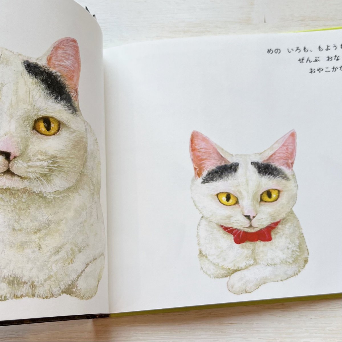 ねことねこ | necoya books web store