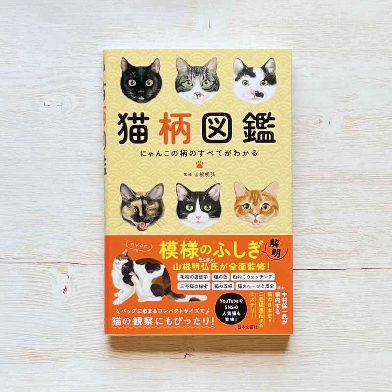 虹猫本舗さま にゃんこ図鑑 オシネコ、80retroオーダー 虹猫本舗さま