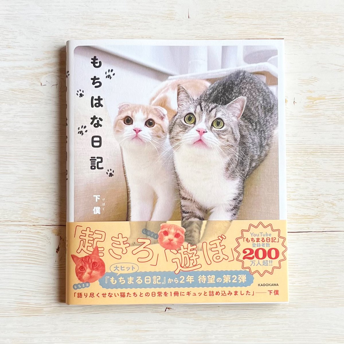 もちはな日記 | necoya books web store