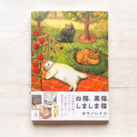 白猫、黒猫、しましま猫