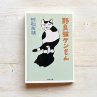 野良猫ケンさん