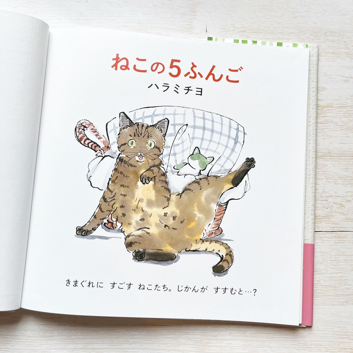 ねこの5ふんご | necoya books web store