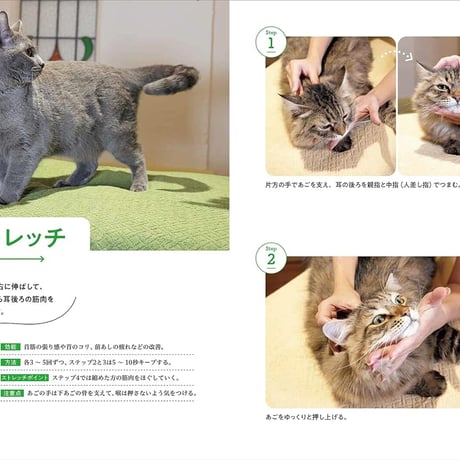 ねこほぐし　猫を整えるマッサージ＆ストレッチ