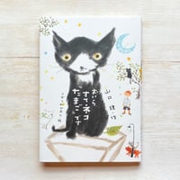 おいら、すてネコ『たまご』です