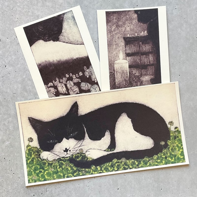 坂本千明 ポストカード「猫」 | necoya books web store
