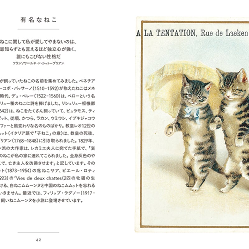 LE PETIT LIVRE DES CHATS ちいさな手のひら事典 ねこ c52b635d757bddbbd8f94daf0e4779