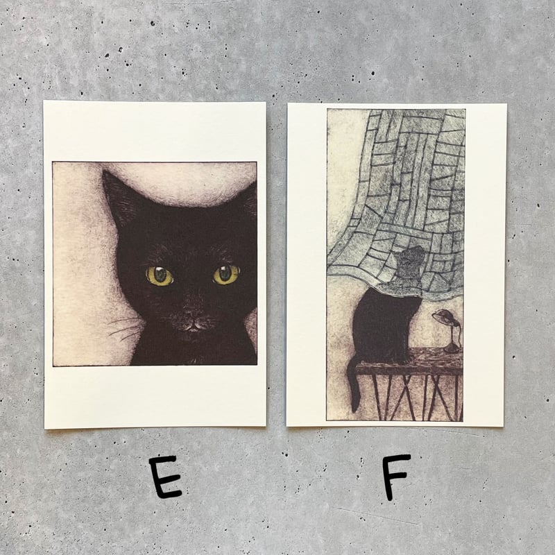 坂本千明 ポストカード「黒猫」 | necoya books web store