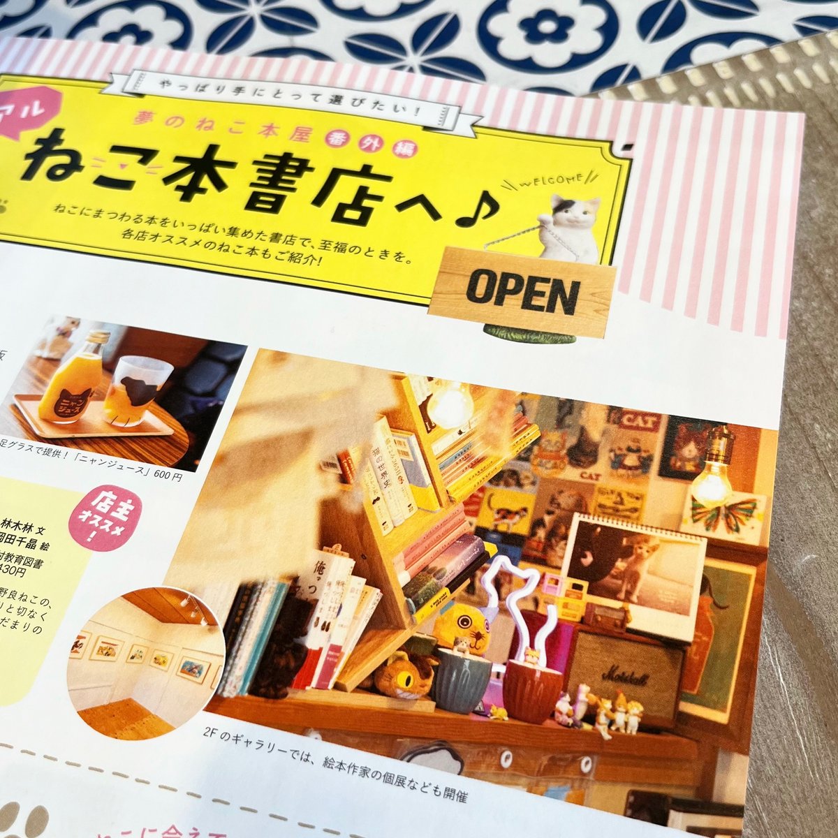 にゃっぷる vol.4 | necoya books web store