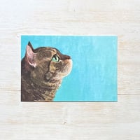 町田尚子 ポストカード「なまえのないねこ」 大型サイズ