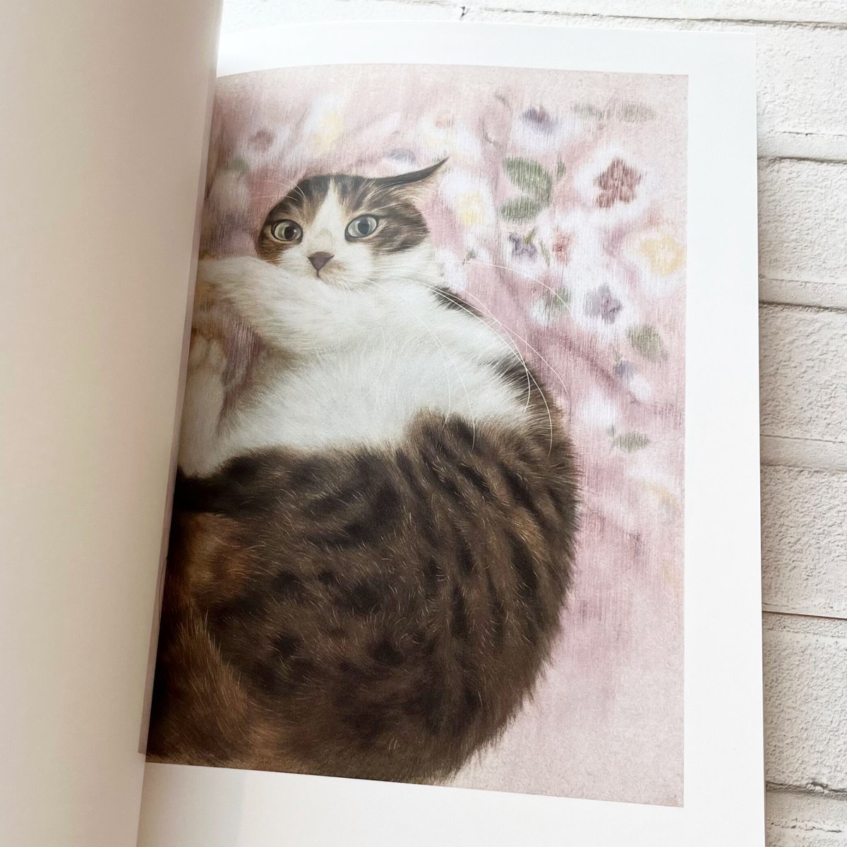 陳珮怡画集 猫さえいれば | necoya books web store