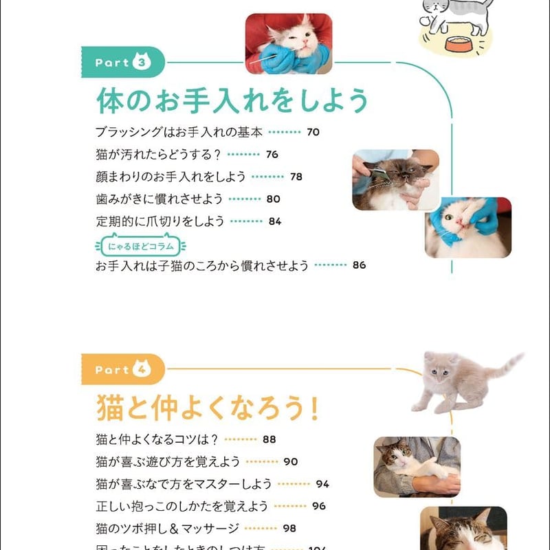 はじめての猫 決定版: この1冊で猫のお世話がまるわかり