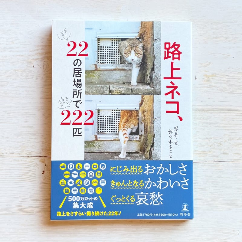 路上ネコ、22の居場所で222匹 | necoya books web store