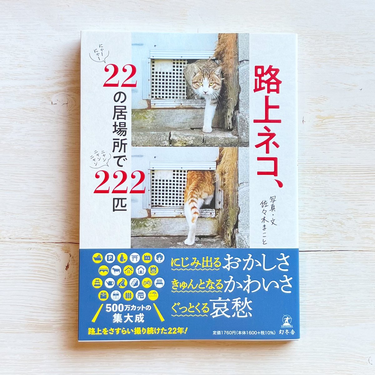 路上ネコ、22の居場所で222匹 | necoya books web store