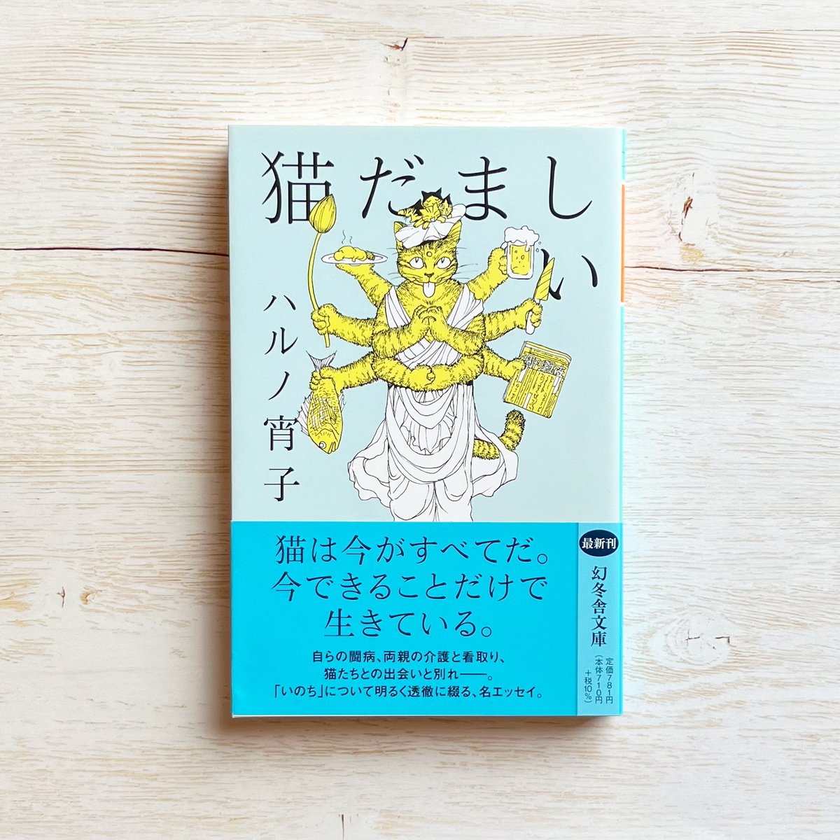 猫だましい | necoya books web store