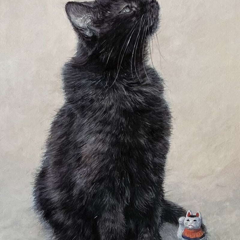 黒猫のウィズ リルム ポストカード ブロマイド まとめ売り バラ売り不可 黒猫のウィズ リルム ポストカード ブロマイド まとめ売り バラ