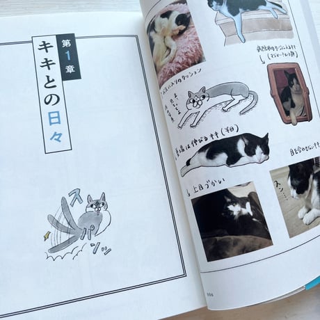 うちの猫は今日も塩対応