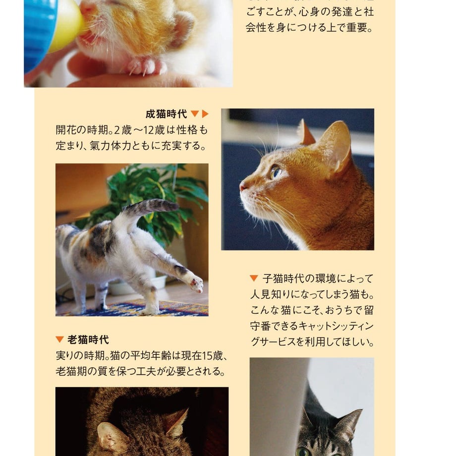63d76f447c42ee5f74d5118e