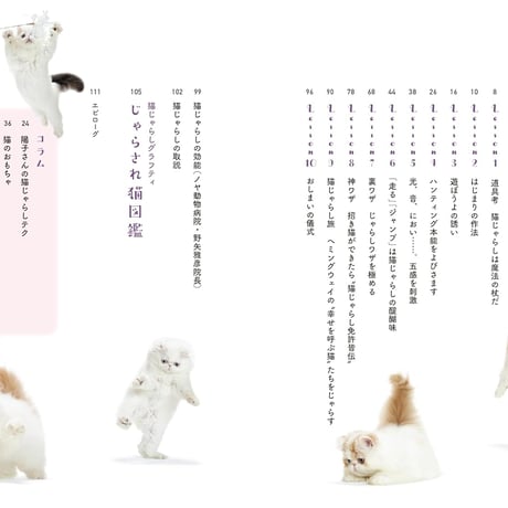 猫じゃらし練習帖