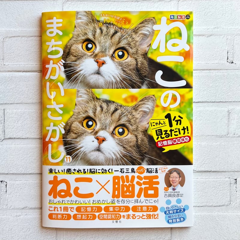 ねこのまちがいさがし11 | necoya books web store