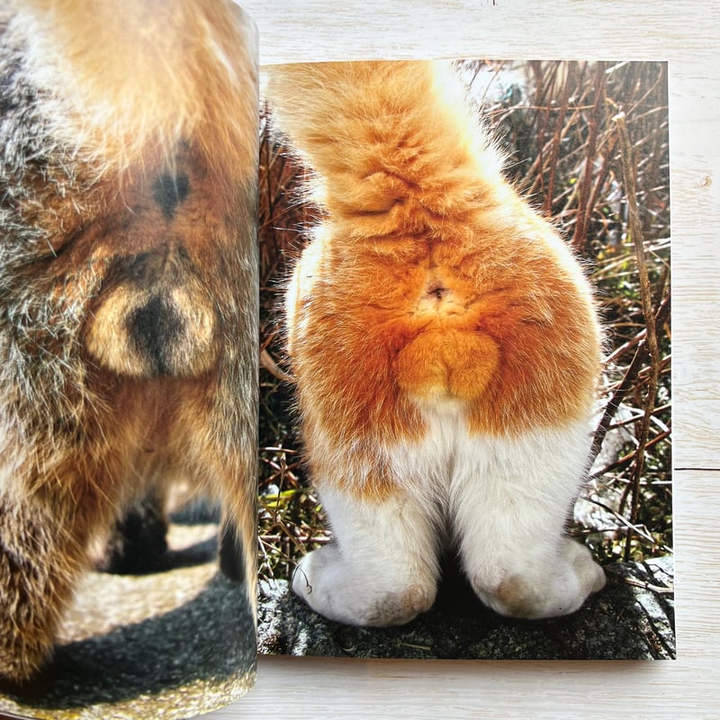 にゃんたま | necoya books web store