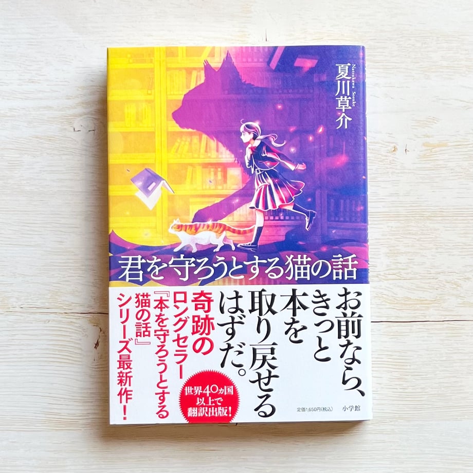 65e8099fc41f4e062bc1728d