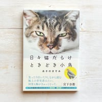 日々猫だらけ　ときどき小鳥