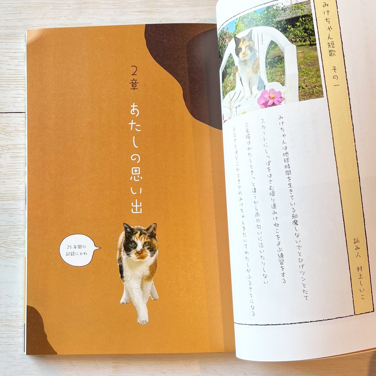 25歳のみけちゃん | necoya books web store