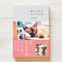 命とられるわけじゃない
