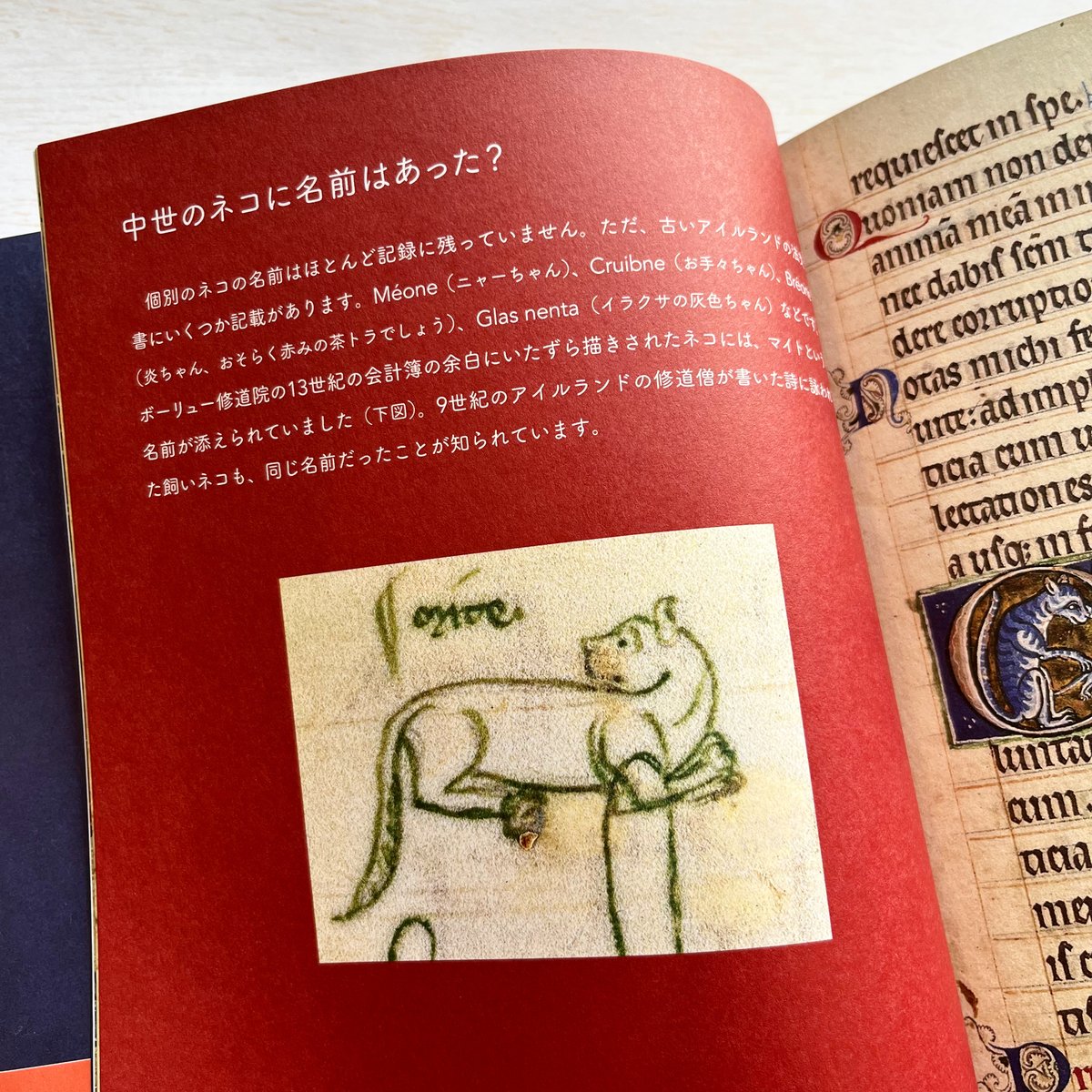 中世ネコのくらし 装飾写本でたどる | necoya books web store