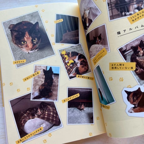 ひび猫にっき