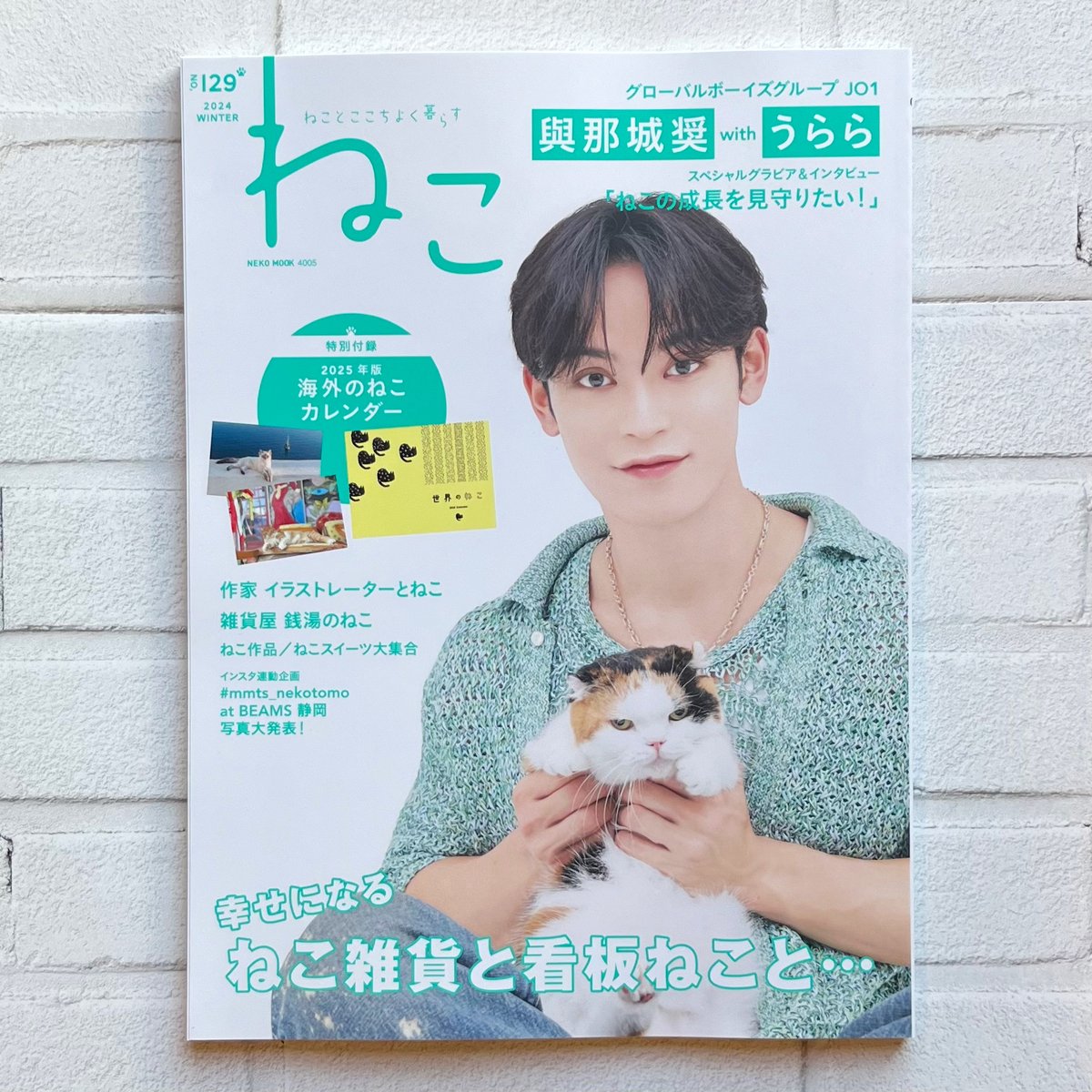 nekokoページ fit=scale-down,w=1200