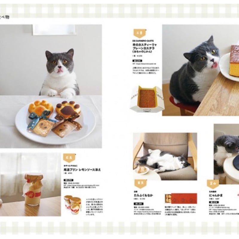 リンネル特別編集 にゃんネル 決定版 ねこと私の幸せな暮らし | necoya