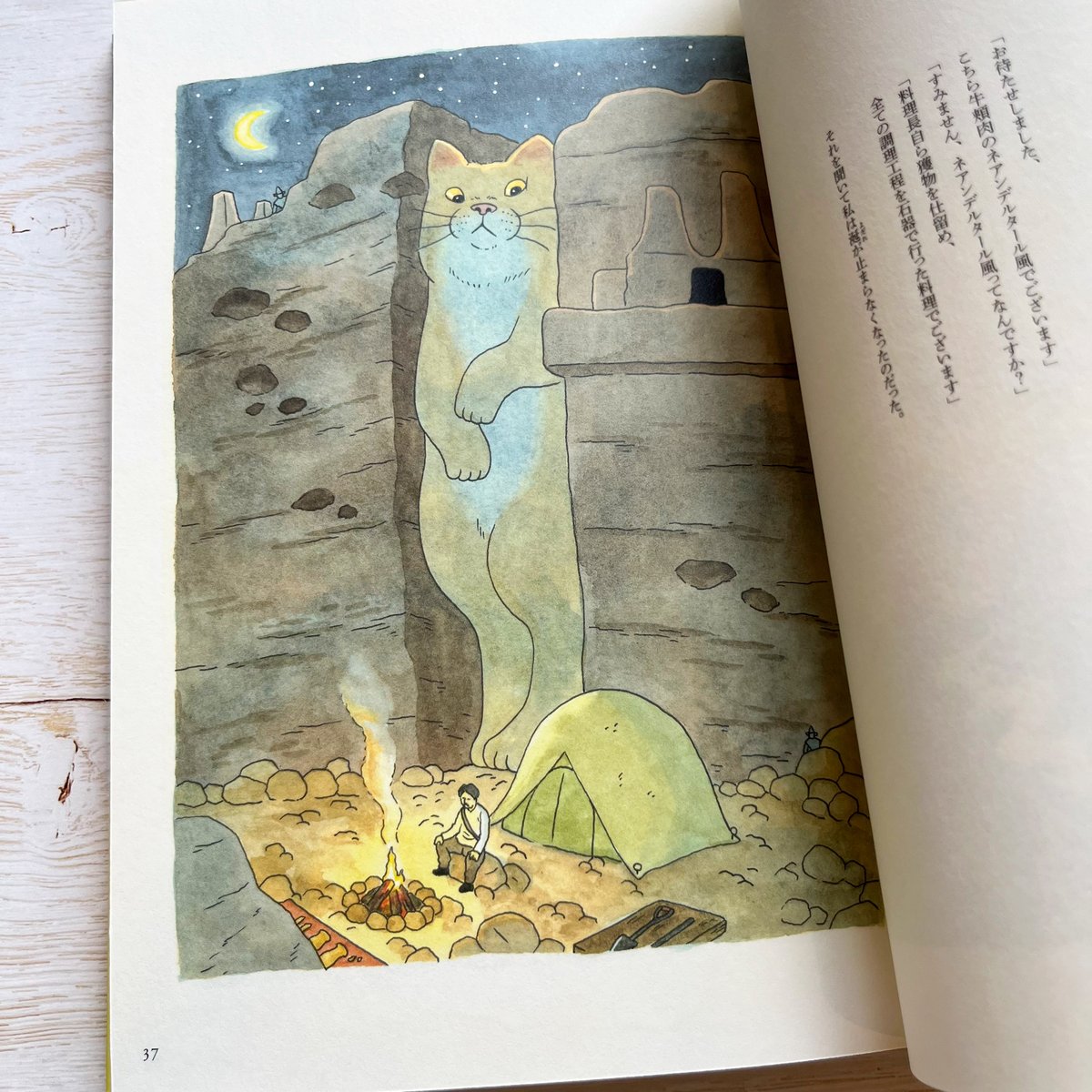 よるのえ | necoya books web store よるのえ | necoya books web store