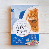 大切なことに気づく365日名言の旅 世界の猫編