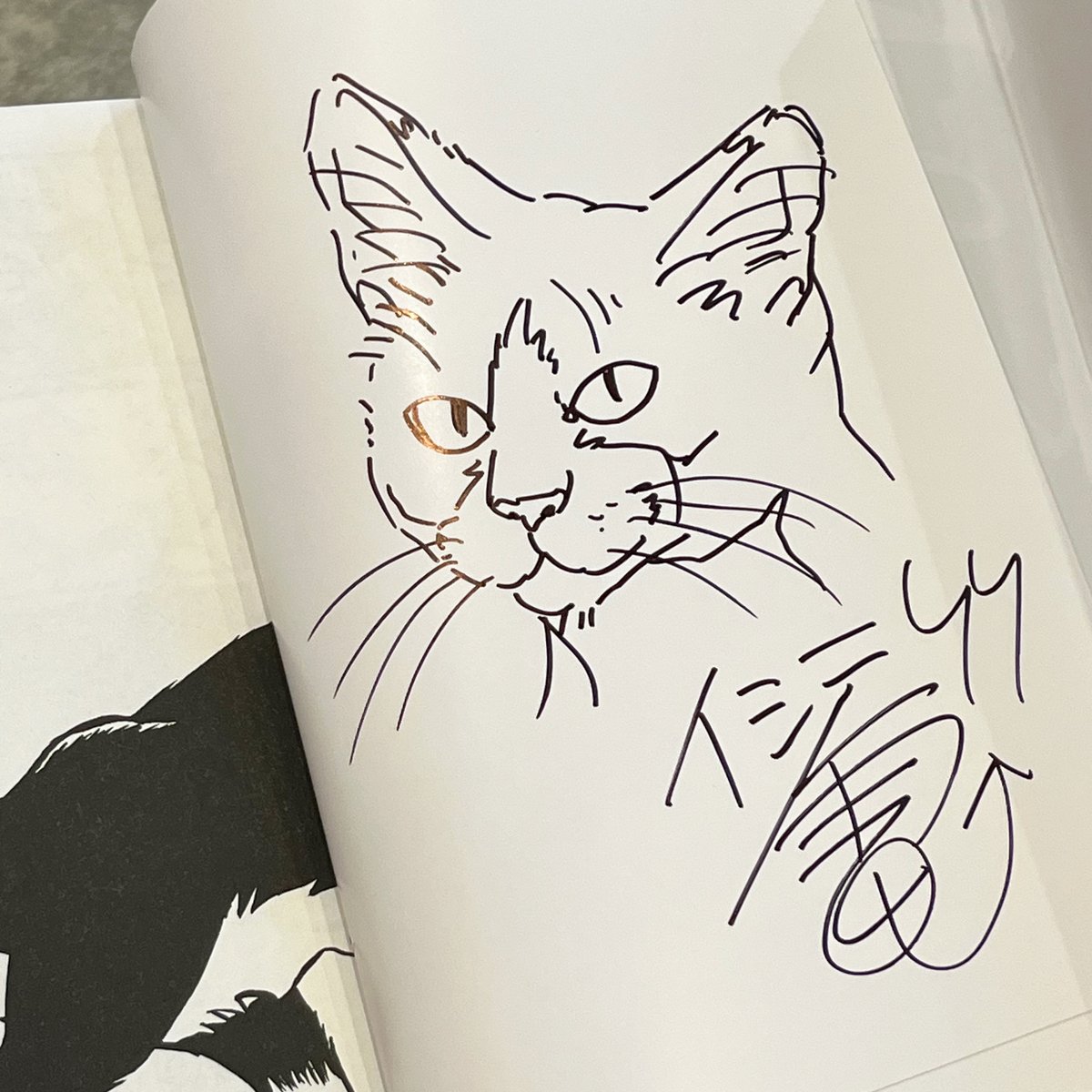 私という猫 完全版 ☆直筆サイン入り | necoya books web store