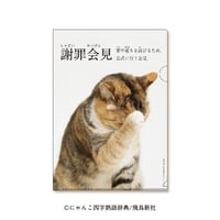 にゃんこ四字熟語　重ね絵クリアファイルA4「謝罪会見」